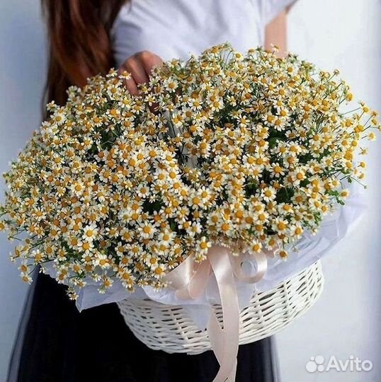 Букеты ромашек