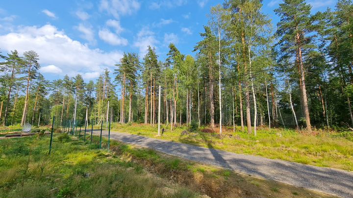 Участок 10 сот. (ИЖС)