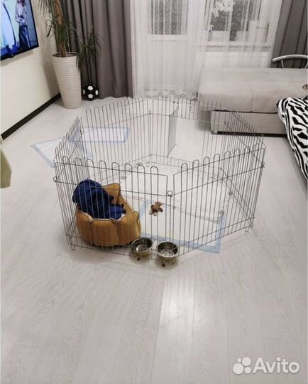 Вольер для собак