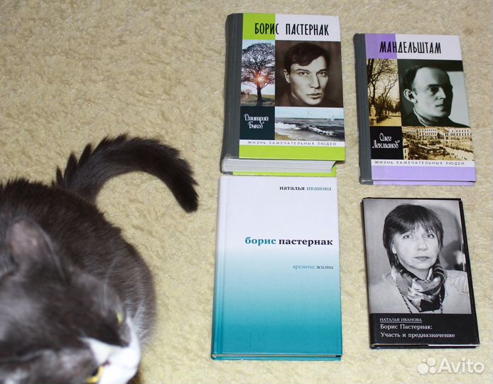 Книги о русских писателях и литературе