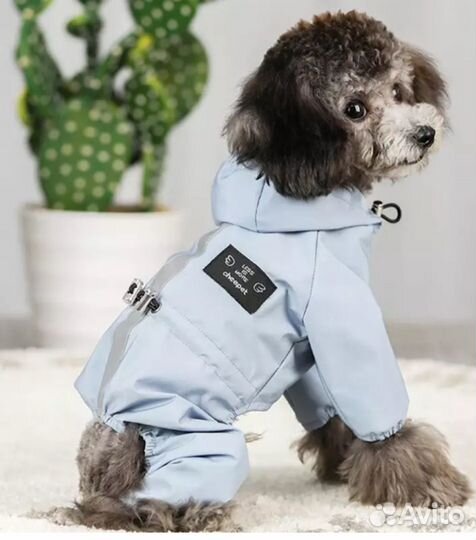 Куртка осень/весна для собачки(2-3кг)