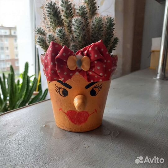 Кактусы и суккуленты в дизайнерском кашпо