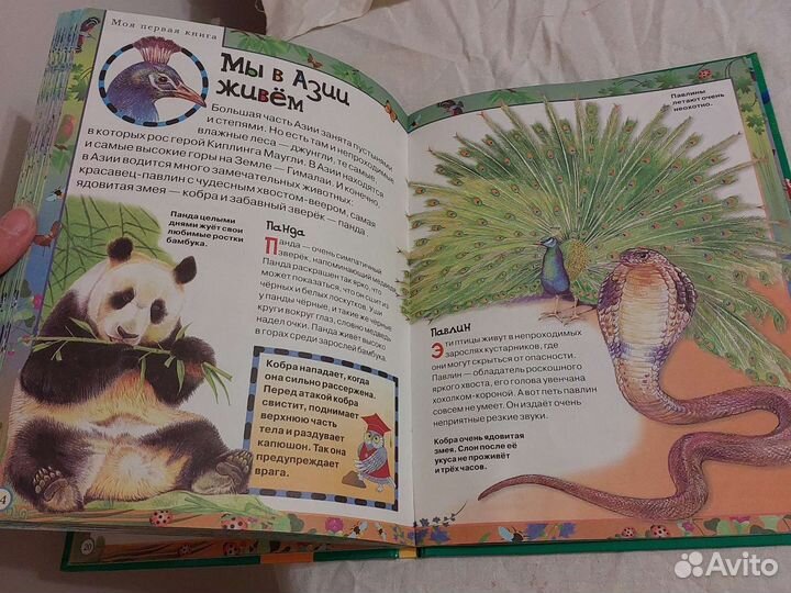 Детские книги о природе формат А4