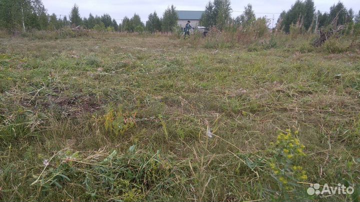 Покос травы триммером