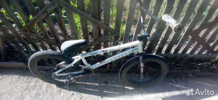 Bmx tech team grasshopper