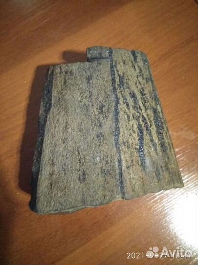 Окаменелость