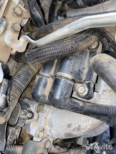 Катушка зажигания EJ253 Subaru Legacy Legacy BP BP