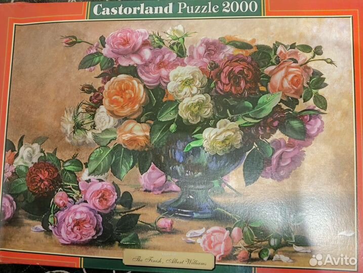 Пазлы Касторланд редкие