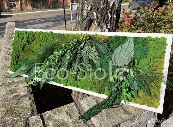 Картина со мхом в белой раме