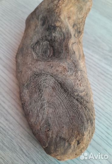 Окаменелое дерево