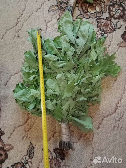 Дубовые веники для бани