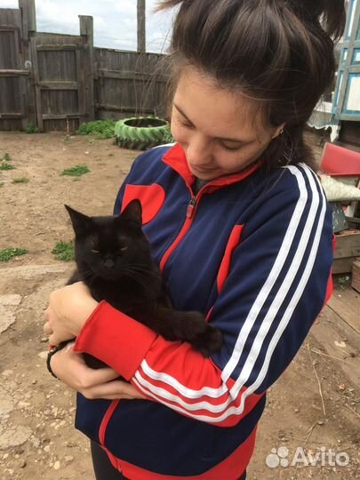 Передержка животных, зооняня