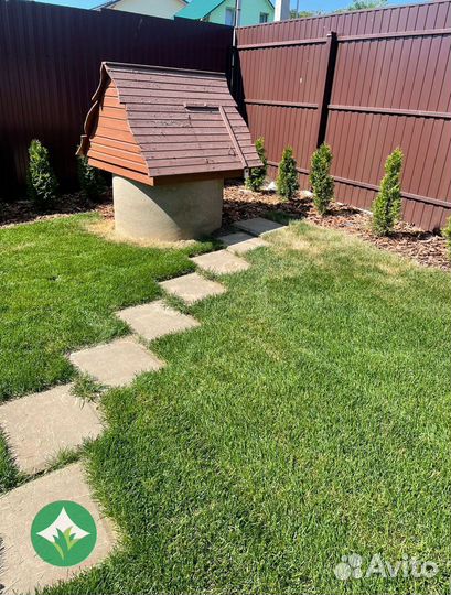 Рулонный газон с доставкой и укладкой