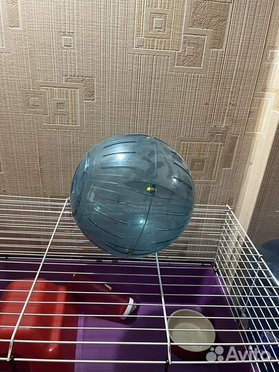 Клетка для грызунов бу