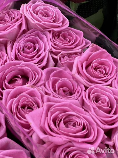 Букеты из 101 розы, 51 розы, 25 роз с доставкой