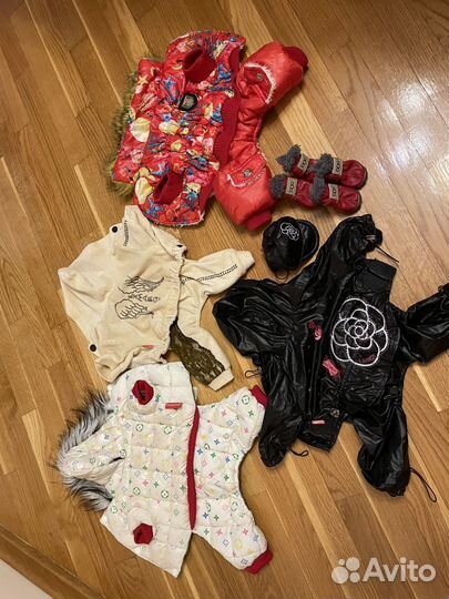 Одежда для маленьких собак