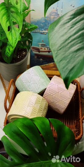 Кашпо из гипса