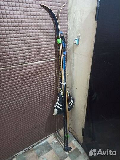 Беговые лыжи