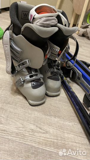 Горные лыжи