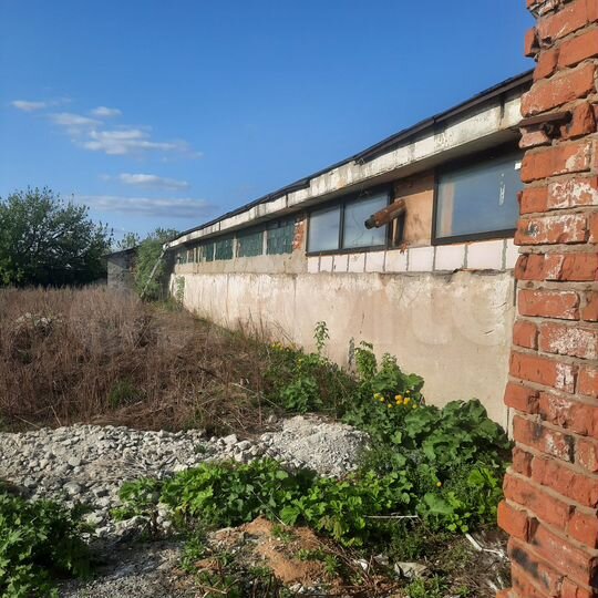 Свободного назначения, 810 м²