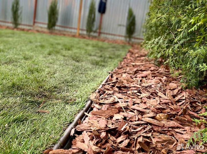 Газон. Рулонный газон