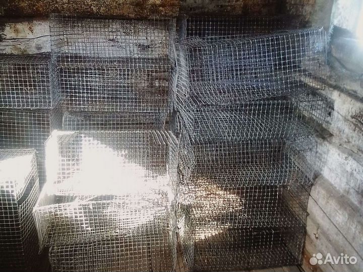 Клетки для перевозки птицы