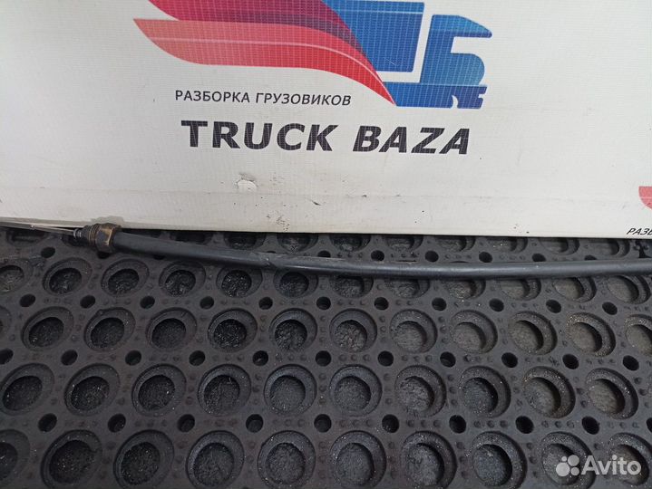 51058055784 Щуп масляный Man TGA, Man TGS, Man TGX