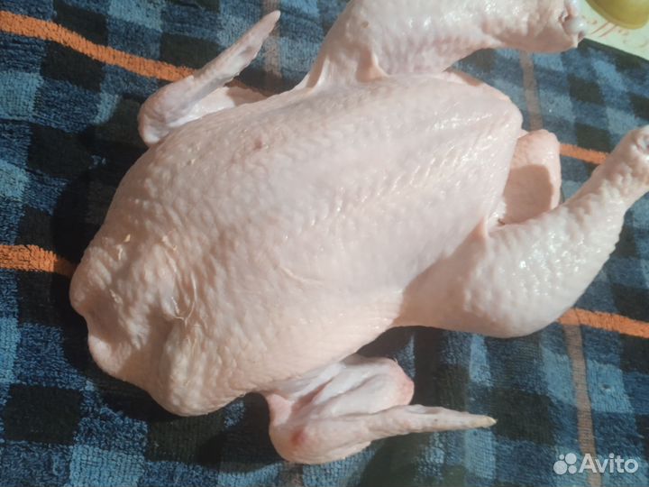 Мясо домашних цыплят