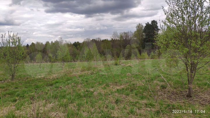 Участок 10 сот. (СНТ, ДНП)