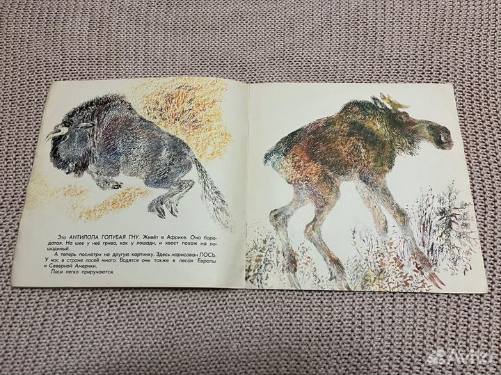 Разные звери. Акимушкин. Худ. Чарушин. 1973