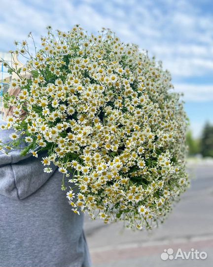 Букет из ромашек