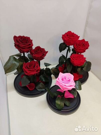 Подарок на новый год / Цветы