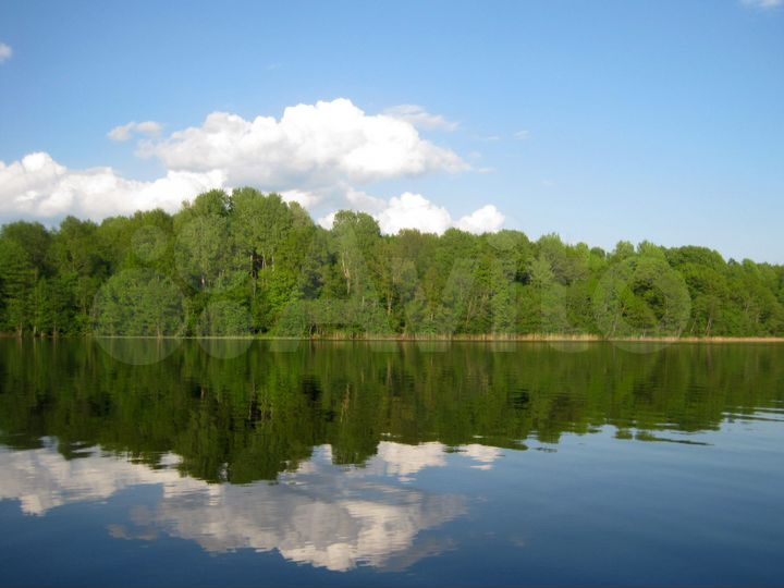 Участок 1,5 га (ИЖС)