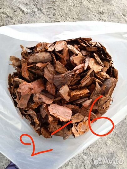 Кора лиственницы