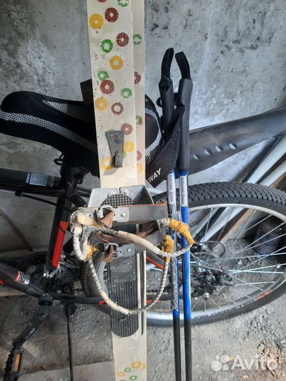 Беговые лыжи