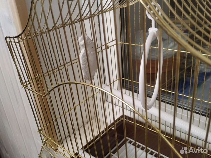 Клетка для попугая