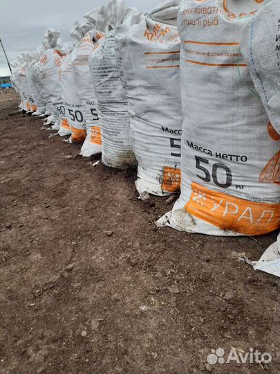 Торф Чернозем в мешках и валом