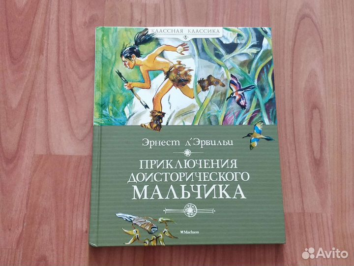 Книга Приключения доисторического мальчика