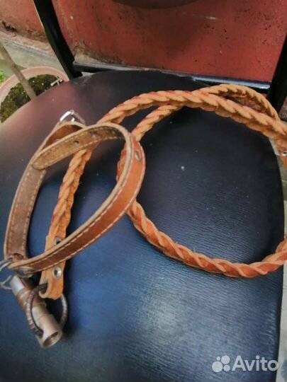 Поводок с ошейником для собак