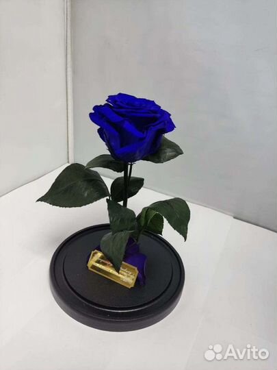 Роза в колбе оптом и в розницу