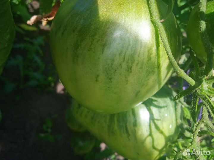 Помидоры, огурцы,перцы домашние доставка