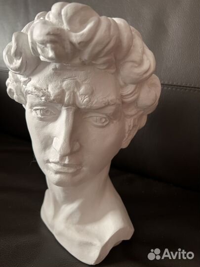 Бюст гипсовая голова кашпо давид