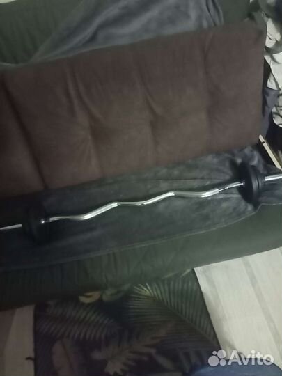 Гриф изогнутый, блины