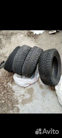 Nordman Nordman 4 65/65 R15 95