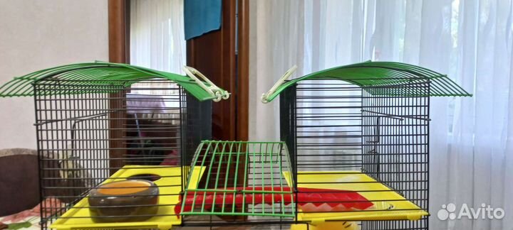 Клетка для грызунов очень большая