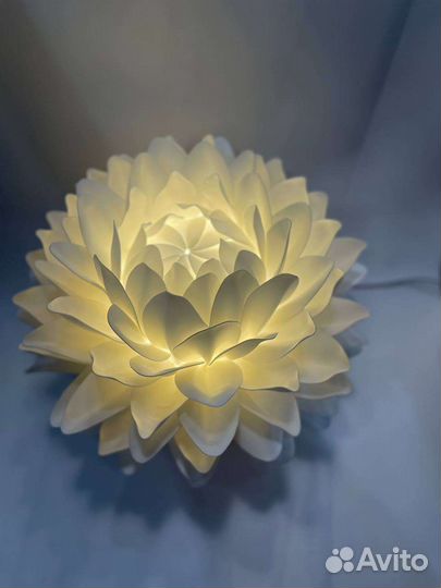 Лотос ночник