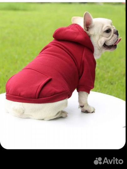 Одежда для маленьких собак и кошек