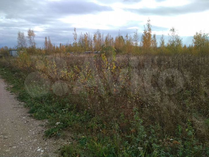 Участок 12 сот. (ИЖС)