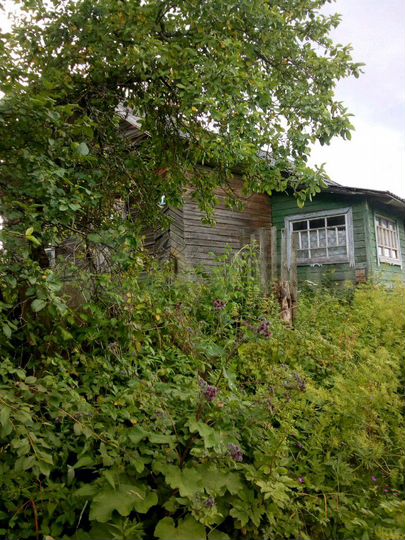 Дом 50 м² на участке 50 сот.