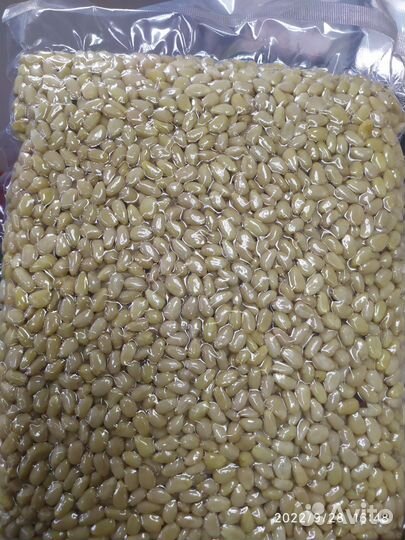 Кедровые орех и шишки